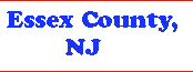 Essex County dumpster rentals, garbage dumpsters, waste roll off trash services banner2b