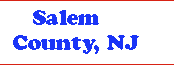 Salem County dumpster services, dumpster rentals, waste, trash and garbage dumpsters companies banner2b