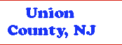 Union County dumpsters, trash dumpster rentals, garbage roll off waste company banner2b