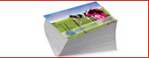 Hudson Valley, NY printing business cards, flyers, posters, brochures printing banner2d