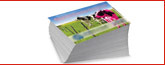 Somerset County, NJ printing companies, commercial custom printers services banner2d